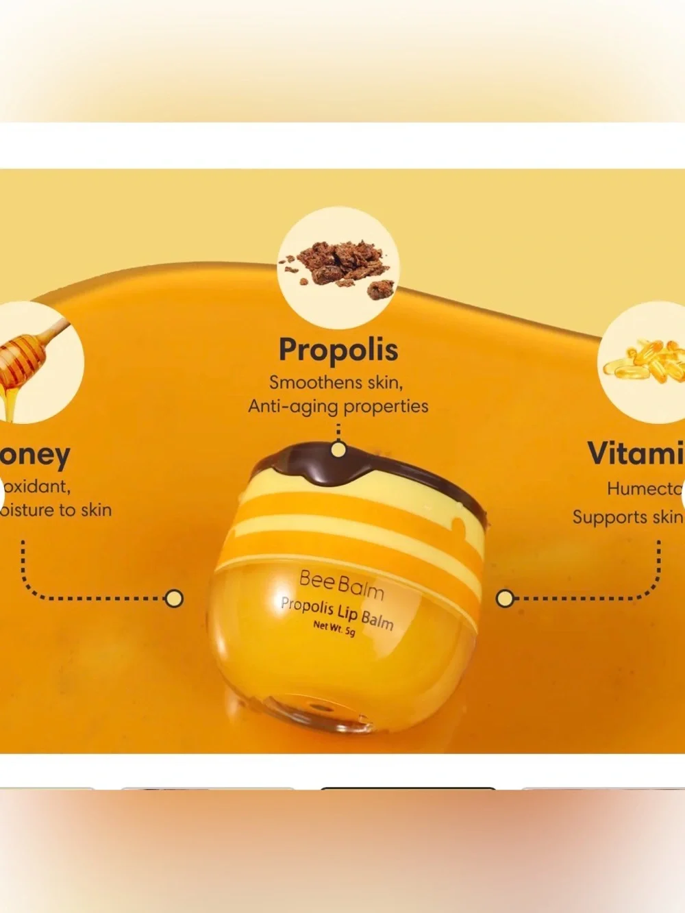 Assorted flavors Bee balm lip balms-cute honey pot design.